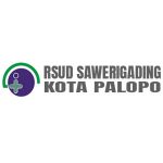 RSUD Sawerigading Palopo300